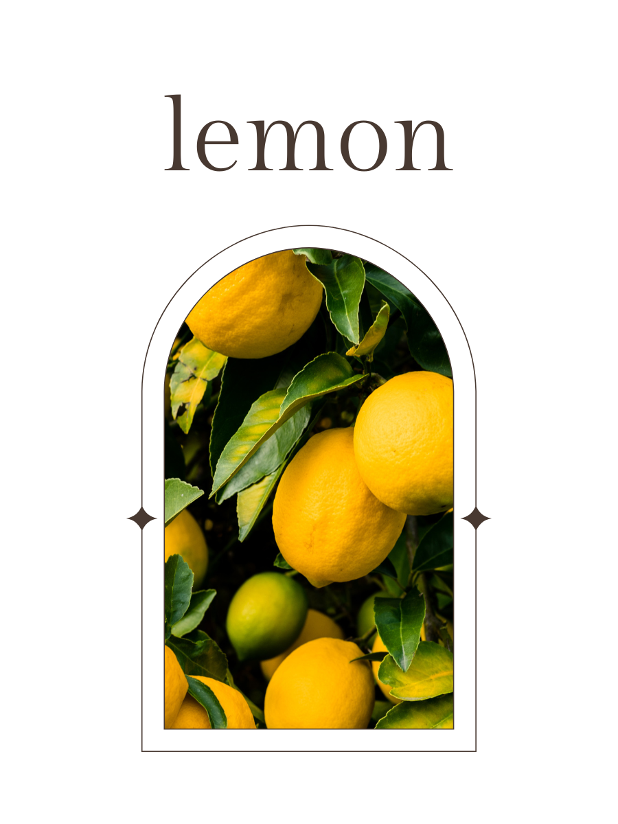 No. 1 - Fragrance Oil - Leather, Lemon, Sandalwood