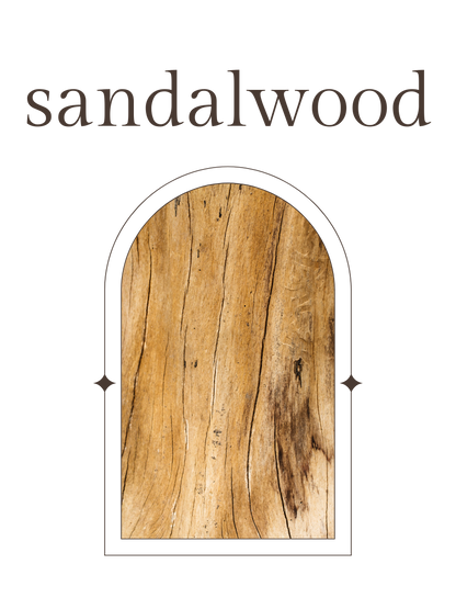 No. 1 - Fragrance Oil - Leather, Lemon, Sandalwood