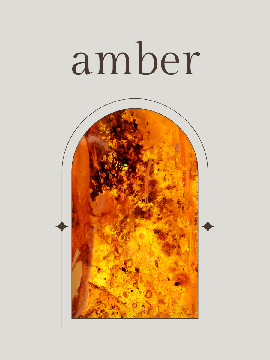 No. 2 - Fragrance Oil - Amber, Bergamot, Rose