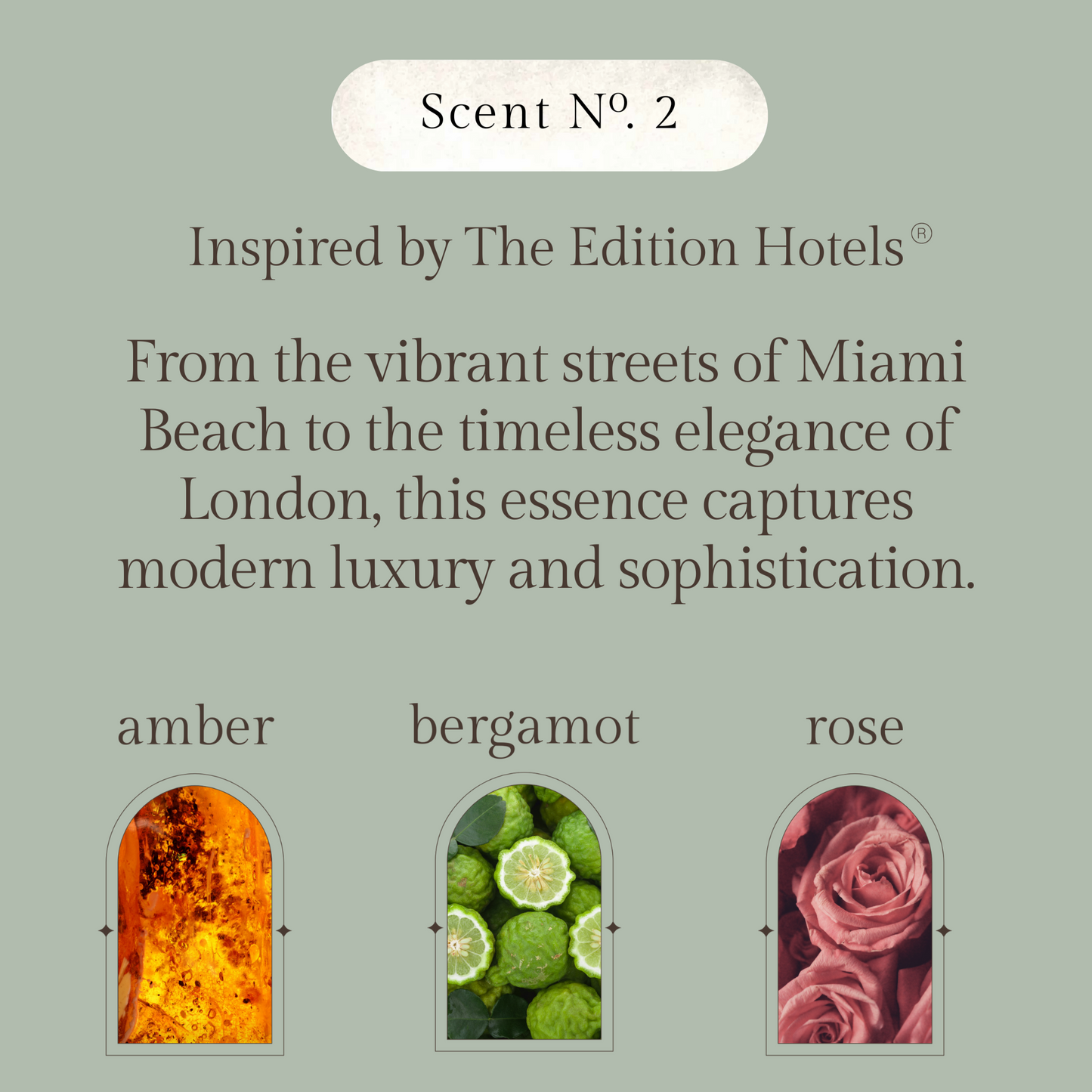 No. 2 - Fragrance Oil - Amber, Bergamot, Rose