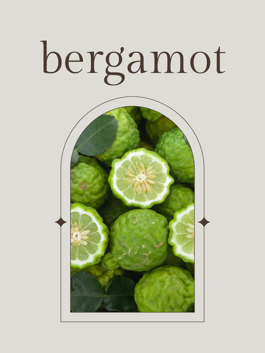 No. 2 - Fragrance Oil - Amber, Bergamot, Rose
