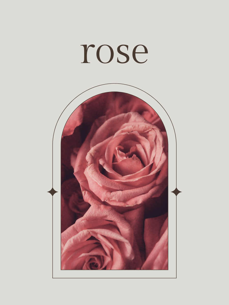 No. 2 - Fragrance Oil - Amber, Bergamot, Rose