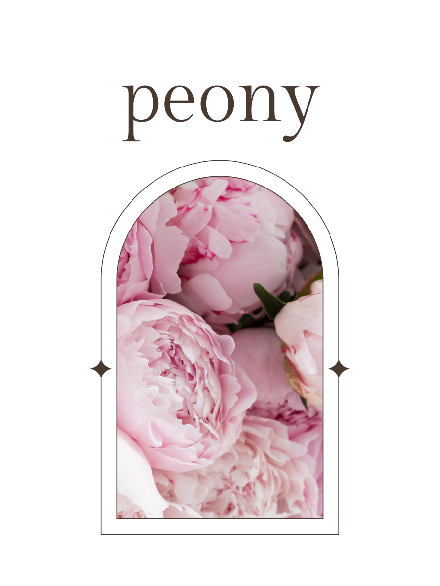 No. 3 - Fragrance Oil - Floral, Peony, Woody